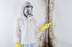 Why You Should Choose Our Mold Remediation Services in (206) 803-13630